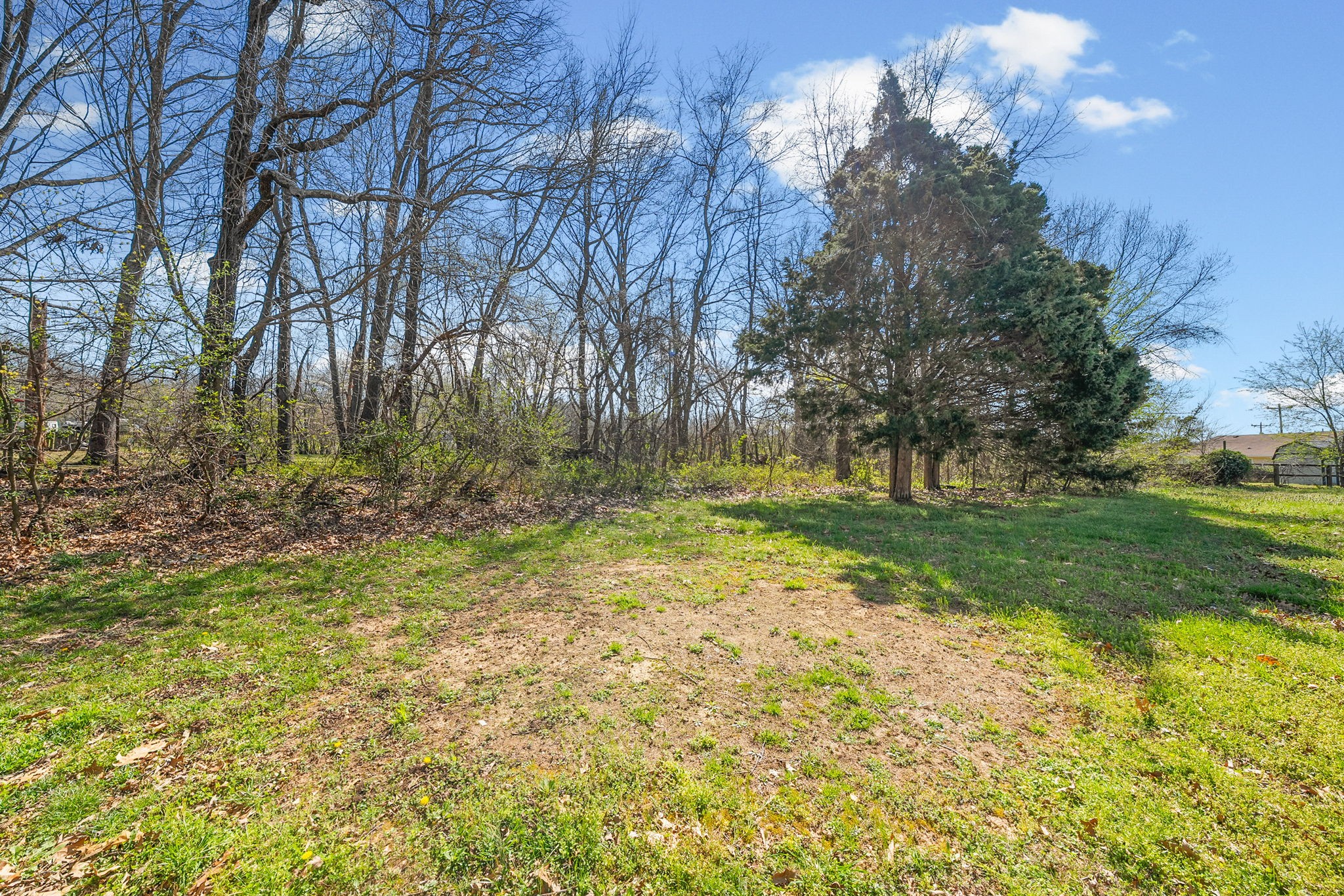 1539 Hugh Hunter Road Oak Grove, KY 42262 - Photo 22 of 22 a view of backyard with green space