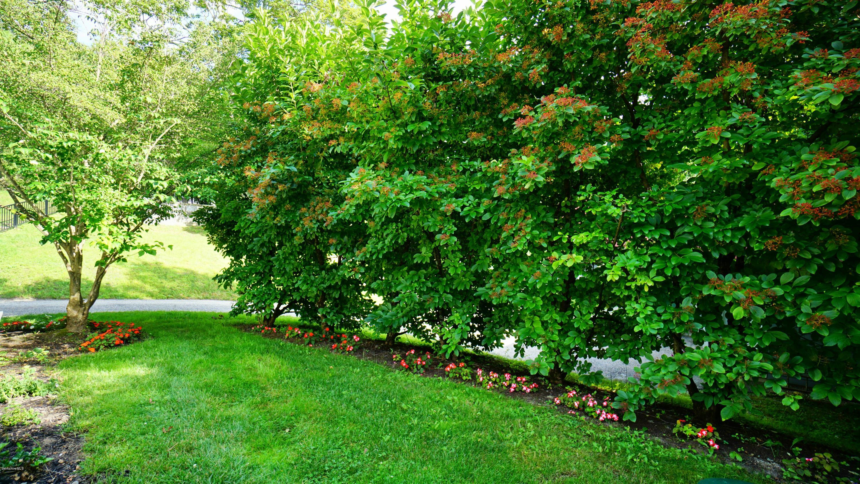 11 Prospect Hill Road, Unit 3 Stockbridge, MA 01262 - Photo 19 of 27 a view of yard with green space