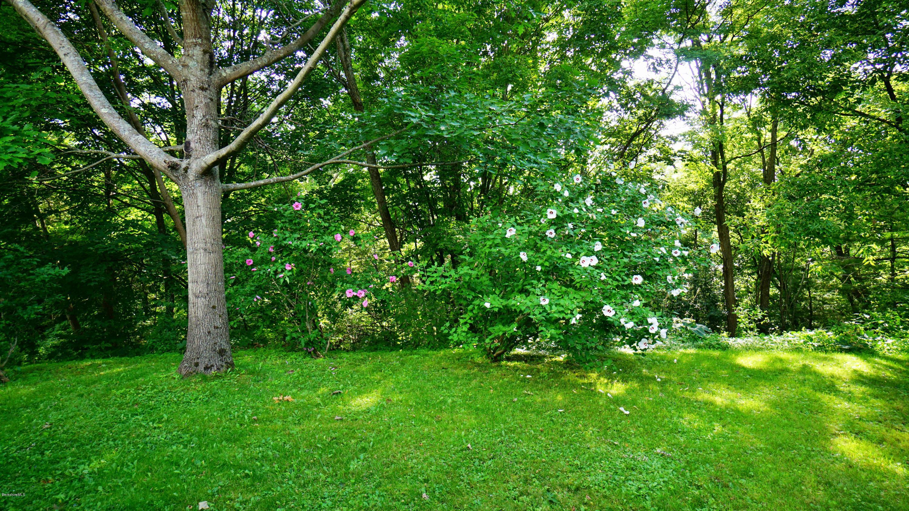 11 Prospect Hill Road, Unit 3 Stockbridge, MA 01262 - Photo 20 of 27 a view of lush green forest