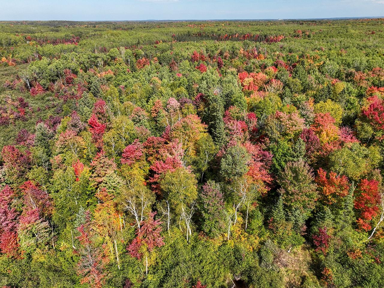 Off Coffee Creek Road Tomahawk, WI 54487 - Photo 49 of 50 Gallery Image 49
