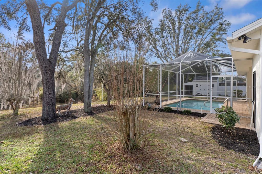 2214 Meadow Lark Road Spring Hill, FL 34608 - Photo 43 of 49 a view of a house with backyard and trees