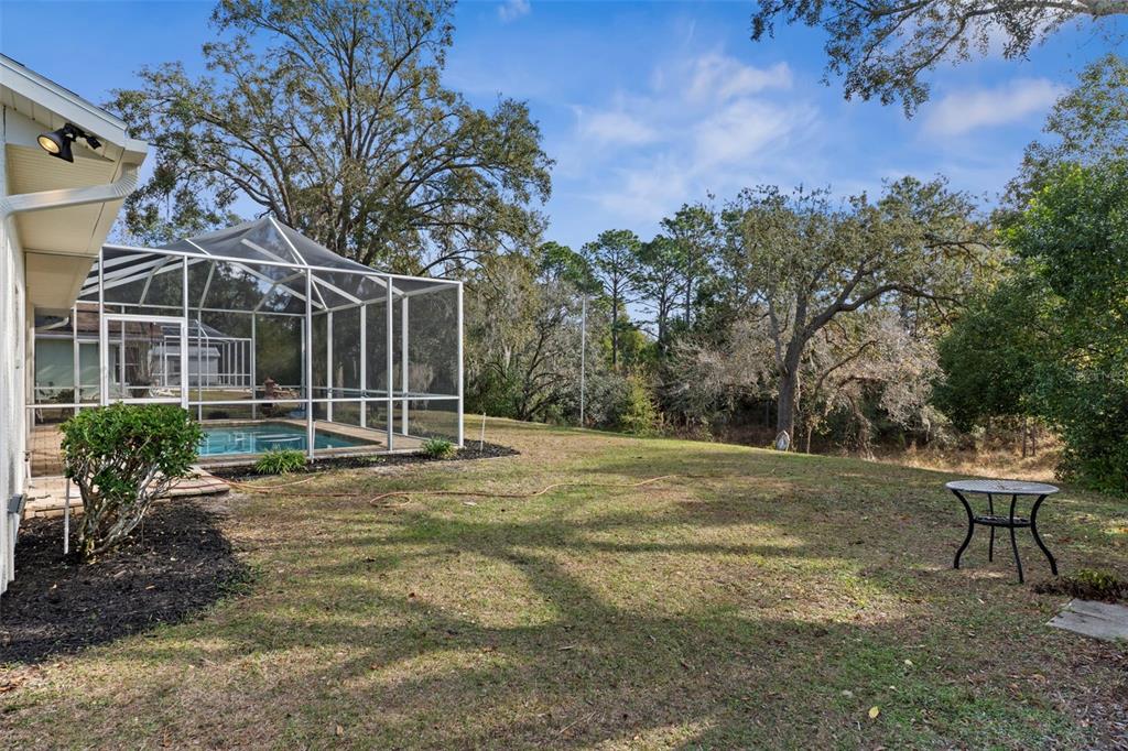2214 Meadow Lark Road Spring Hill, FL 34608 - Photo 47 of 49 a view of a backyard with plants and large trees