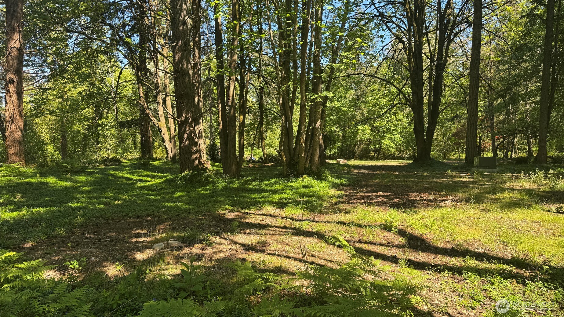 12820 Southwest Bank Road Vashon, WA 98070 - Photo 6 of 13 Gallery Image 6