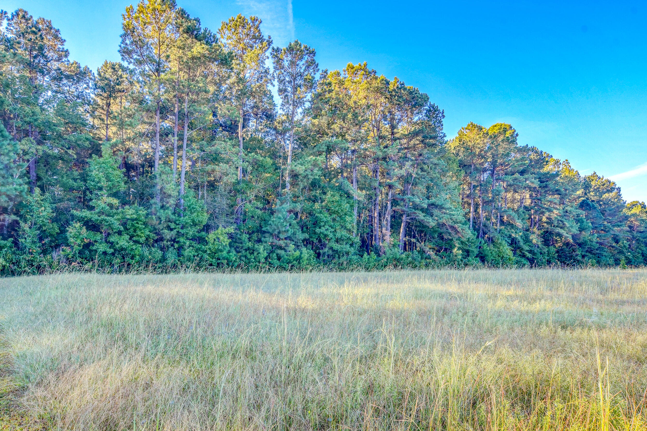 169 Ryefield Lane Ridgeville, SC 29472 - Photo 11 of 17 DSC_5653_4_5_6_7