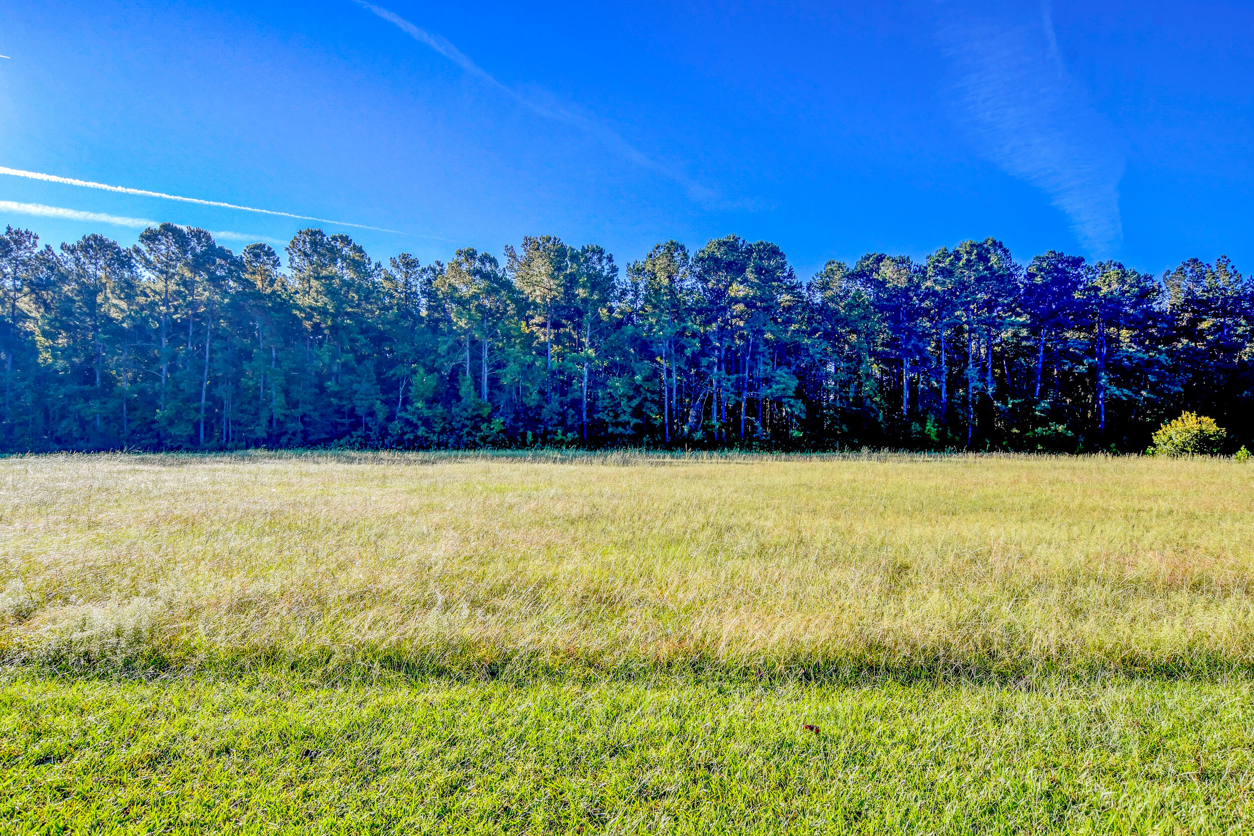 169 Ryefield Lane Ridgeville, SC 29472 - Photo 13 of 17 DSC_5663_4_5_6_7
