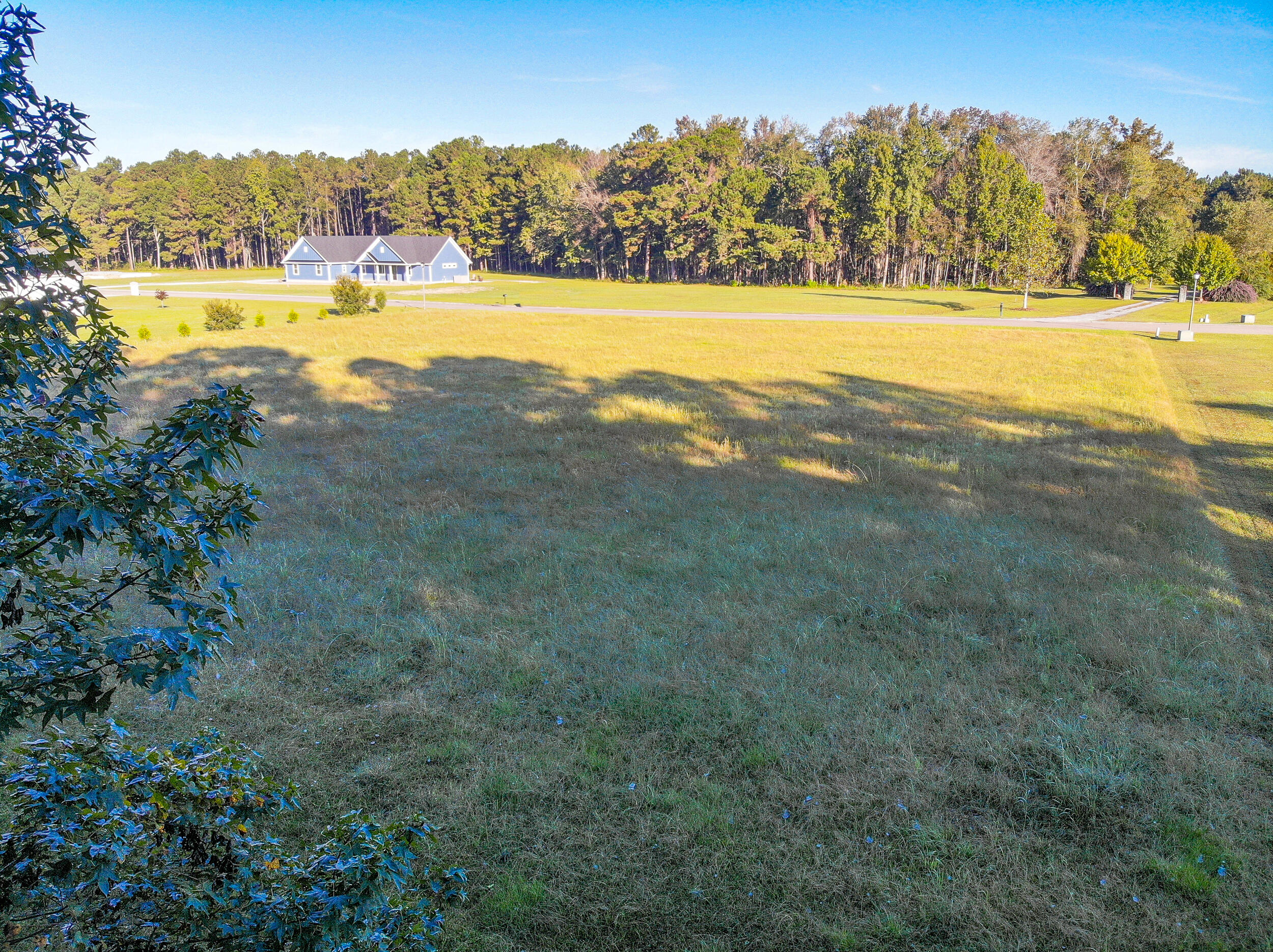 169 Ryefield Lane Ridgeville, SC 29472 - Photo 14 of 17 IMG_6774