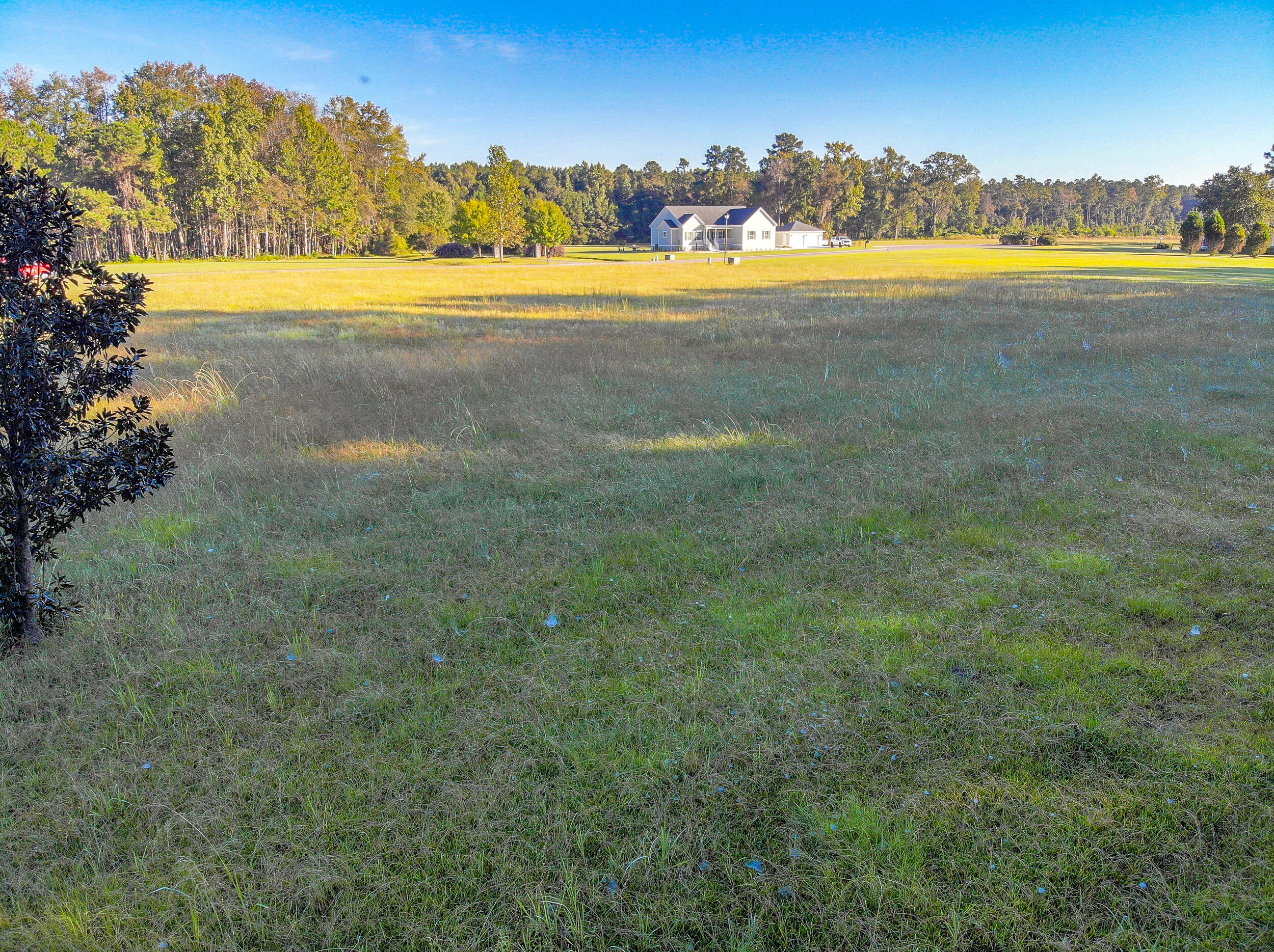 169 Ryefield Lane Ridgeville, SC 29472 - Photo 15 of 17 IMG_6775