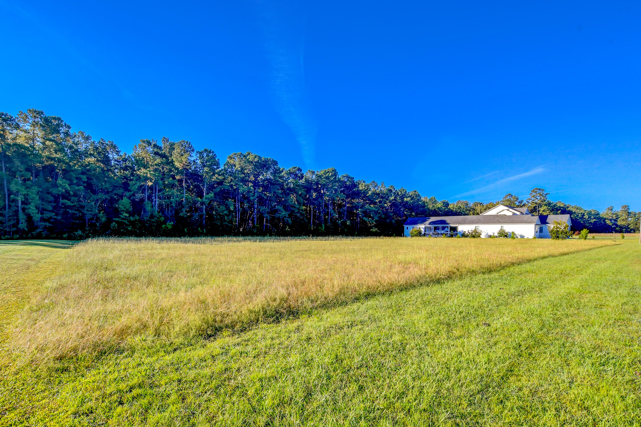 169 Ryefield Lane Ridgeville, SC 29472 - Photo 4 of 17 DSC_5648_49_50_51_52