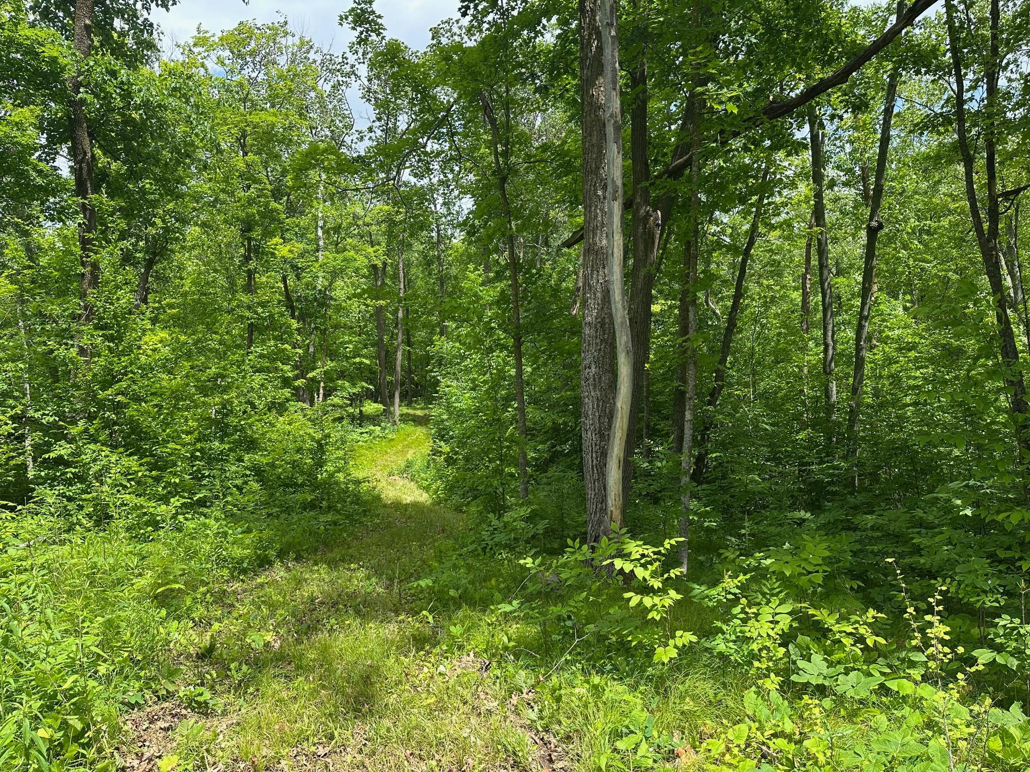 Tbd Tbd Tamarac Road Onamia, MN 56359 - Photo 37 of 49