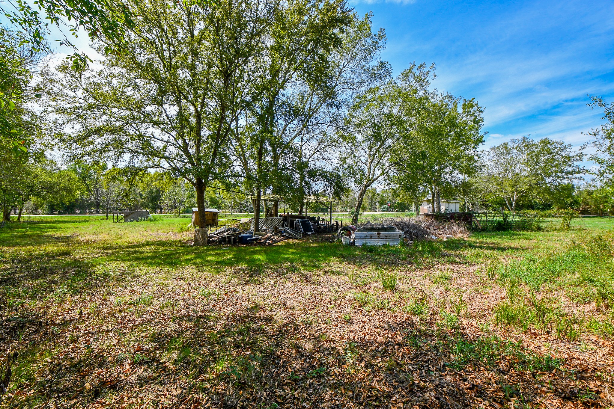 11601 FM 2759 Road Richmond, TX 77469 - Photo 20 of 25 a view of backyard with green space