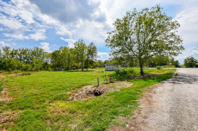 a view of a park with large trees