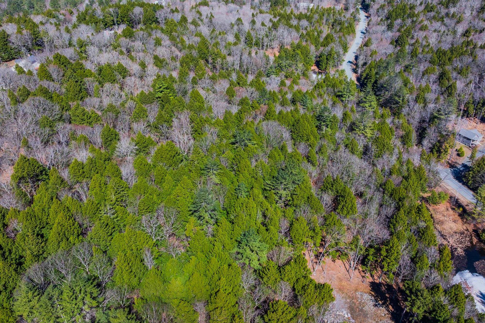 5209-5211 Willard Road, Unit 5209 5211 Quechee, VT 05059 - Photo 2 of 12