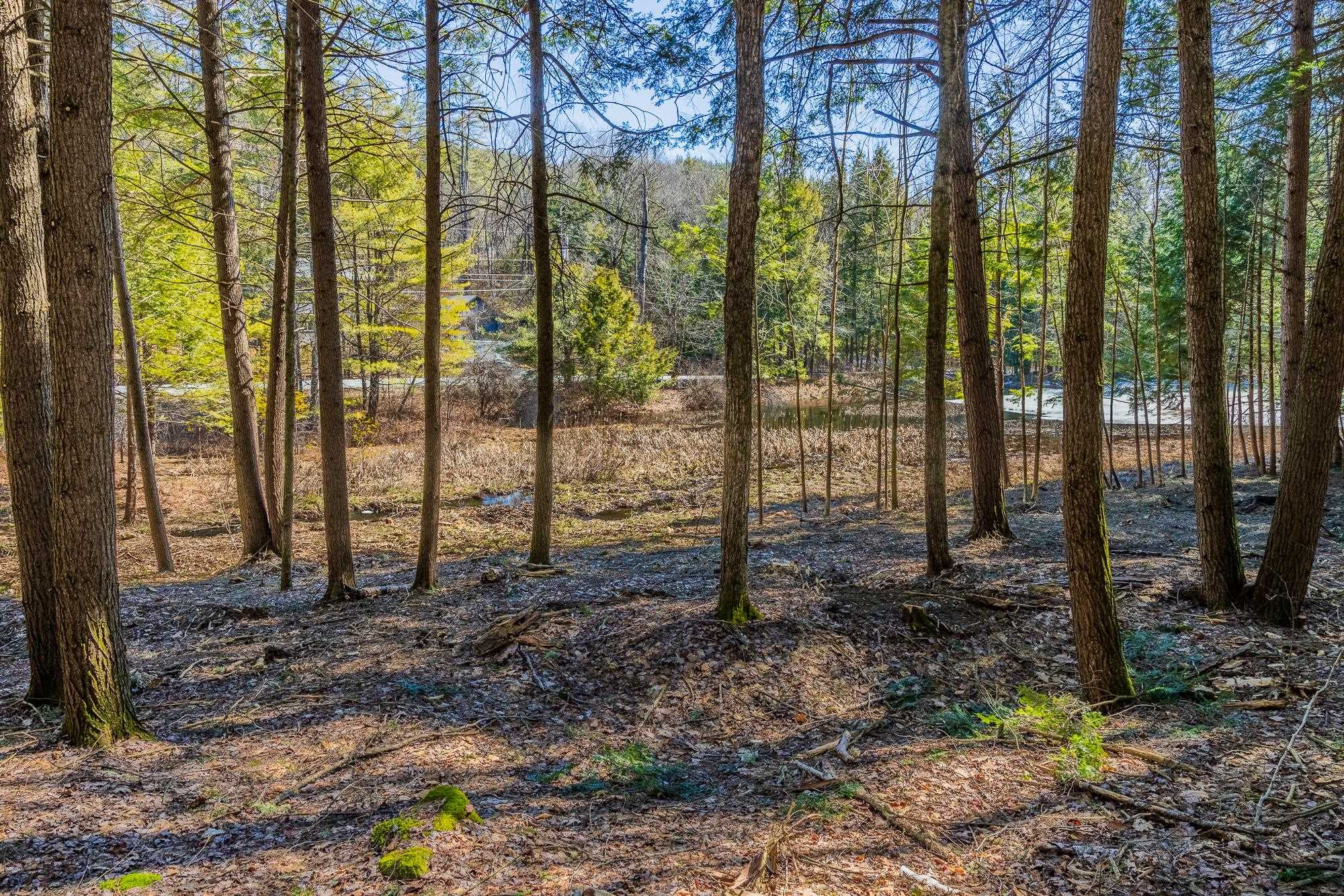 5209-5211 Willard Road, Unit 5209 5211 Quechee, VT 05059 - Photo 5 of 12