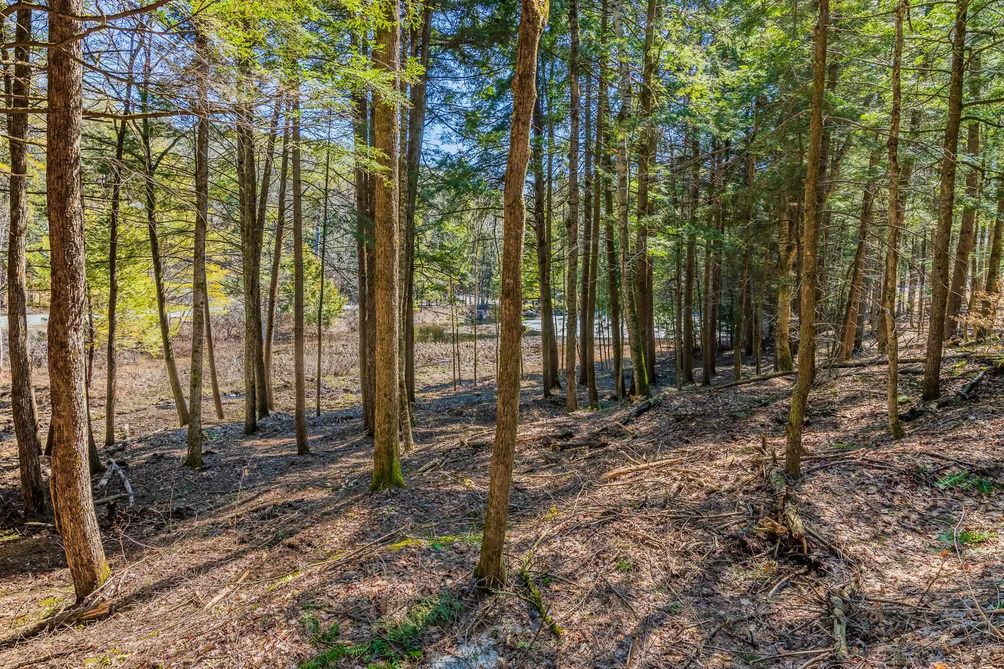 5209-5211 Willard Road, Unit 5209 5211 Quechee, VT 05059 - Photo 6 of 12