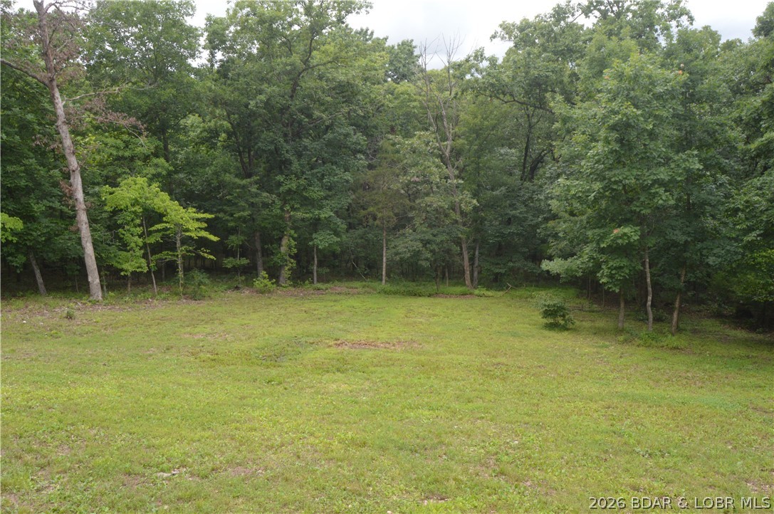 21 Winston Lane Kaiser, MO 65047 - Photo 40 of 45 Back Yard
