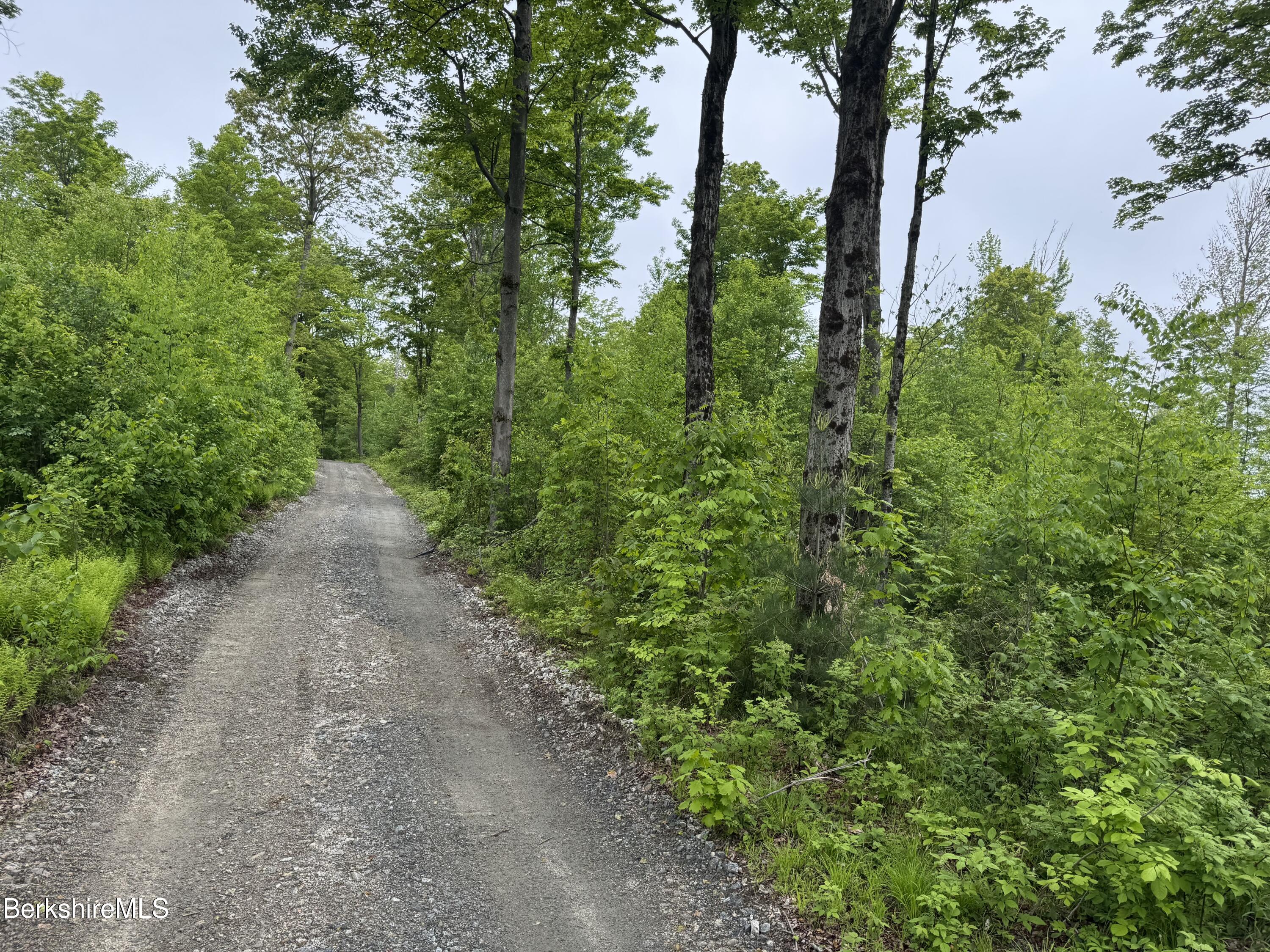 Lot ''b'' Beulah Land Road Blandford, MA 01008 - Photo 11 of 18 IMG_4583