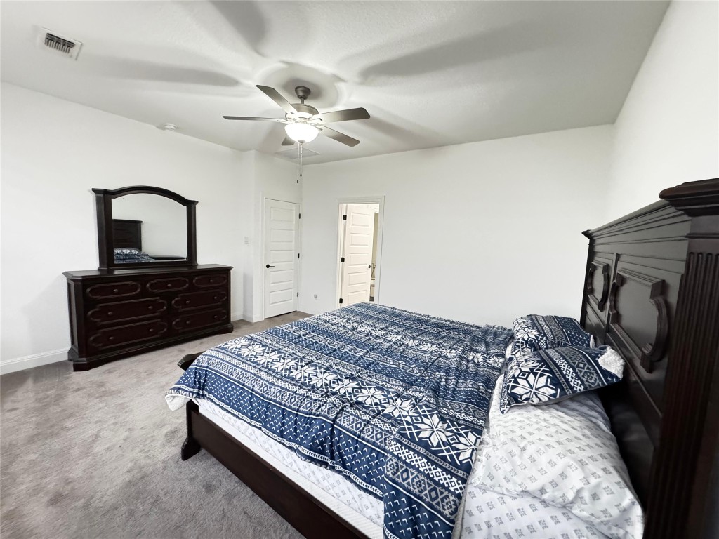 302 Georgia Lace Trail Georgetown, TX 78626 - Photo 19 of 21 a bedroom with a bed dresser and a fireplace