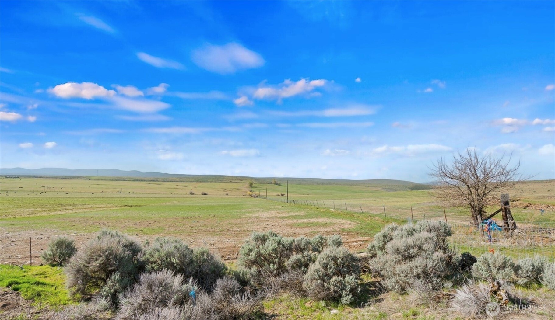 3305 Stevens Road Ellensburg, WA 98926 - Photo 16 of 16 Gallery Image 16