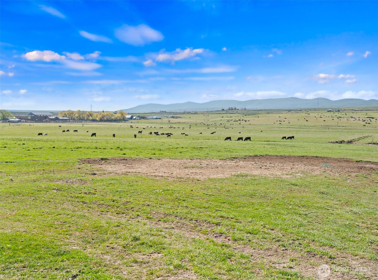 3305 Stevens Road Ellensburg, WA 98926 - Photo 2 of 16 Gallery Image 2
