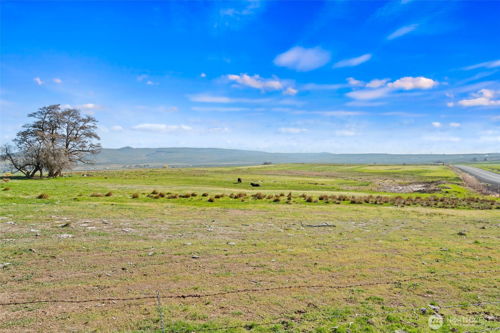 3305 Stevens Road Ellensburg, WA 98926 - Photo 4 of 16 Gallery Image 4
