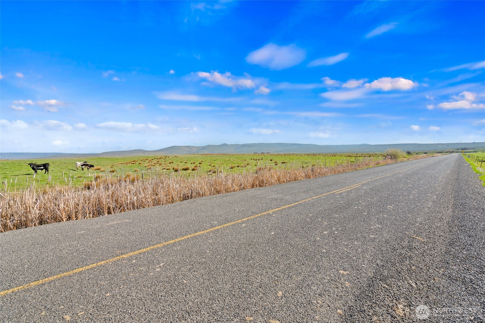 3305 Stevens Road Ellensburg, WA 98926 - Photo 5 of 16 Gallery Image 5