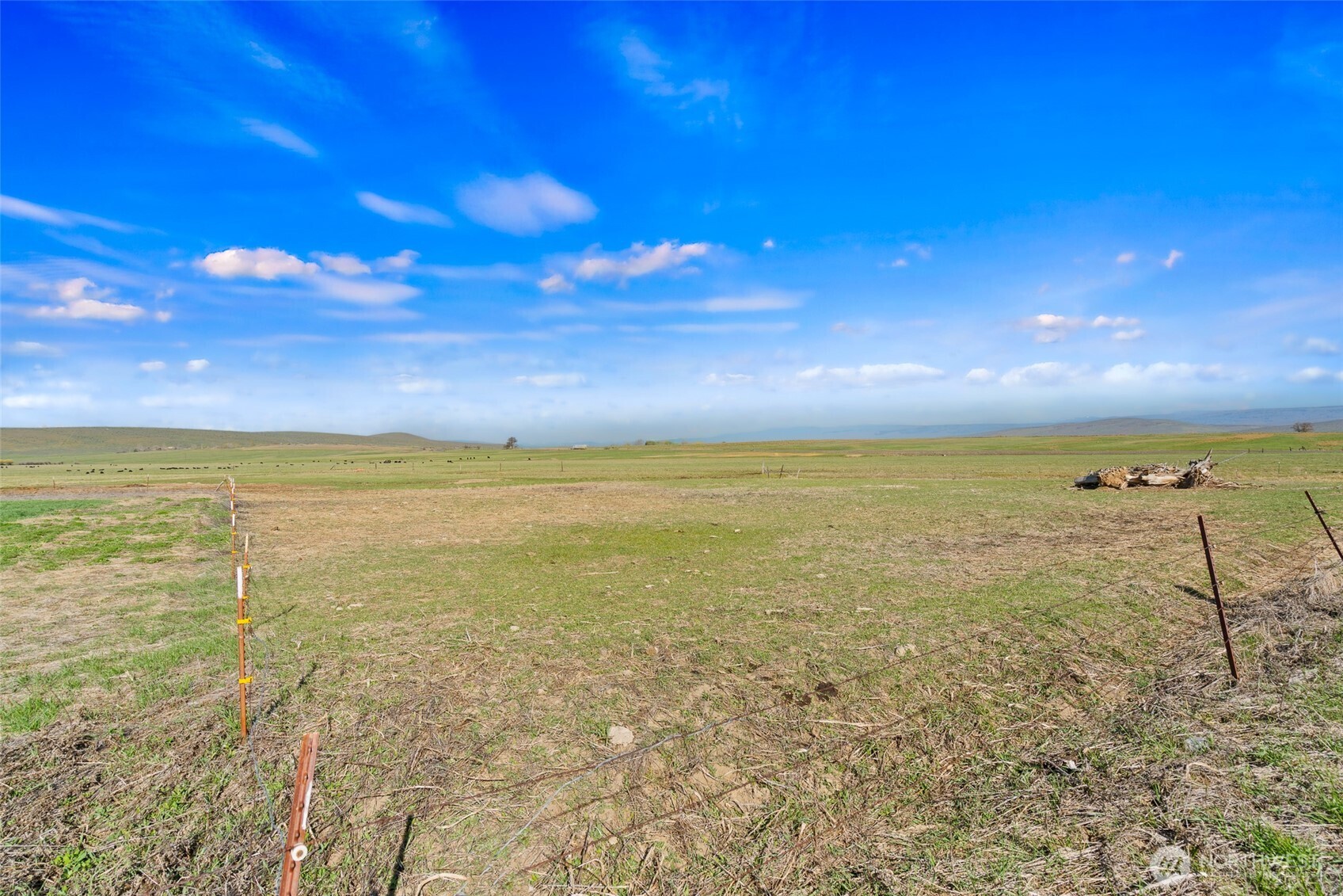 3305 Stevens Road Ellensburg, WA 98926 - Photo 7 of 16 Gallery Image 7