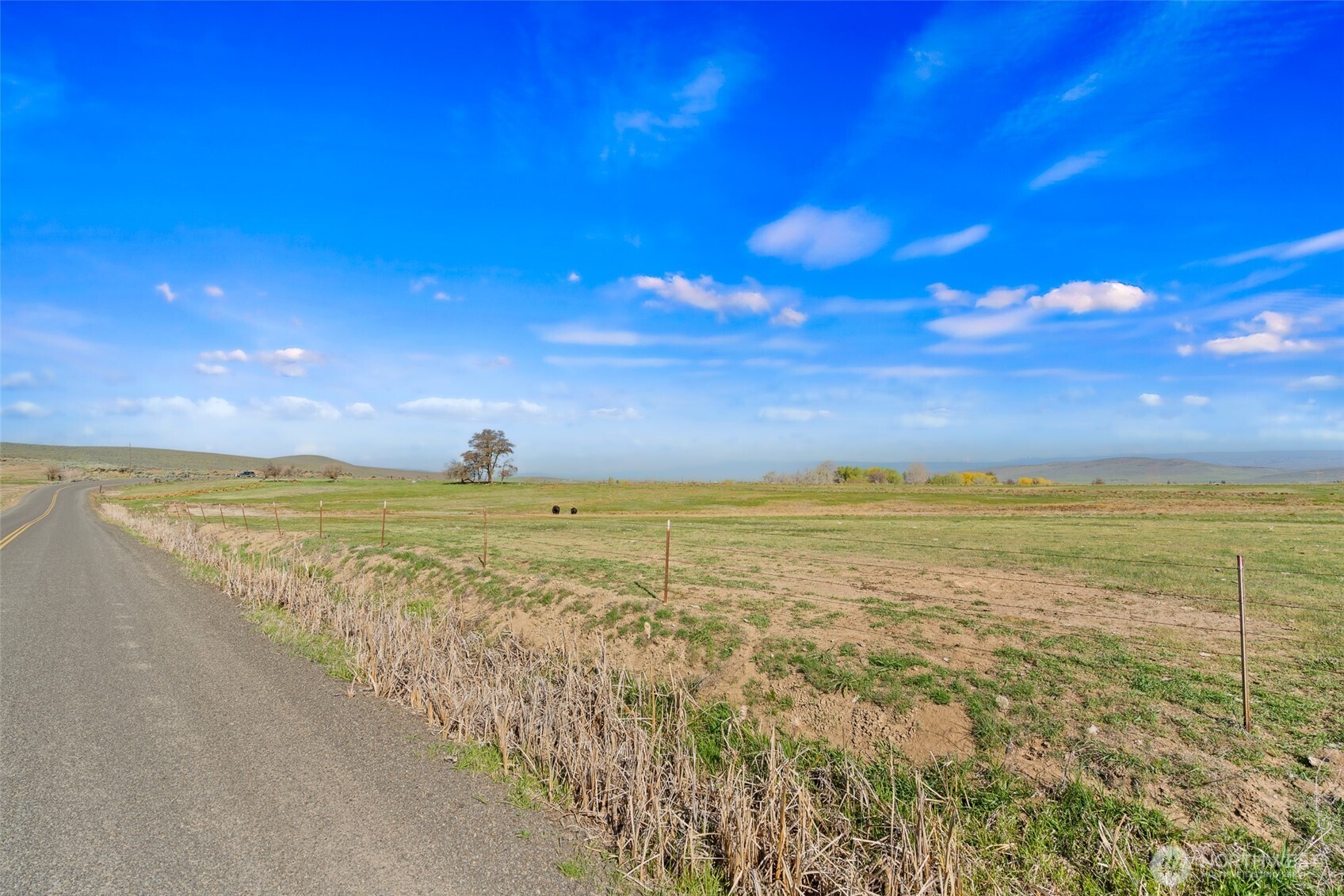 3305 Stevens Road Ellensburg, WA 98926 - Photo 9 of 16 Gallery Image 9