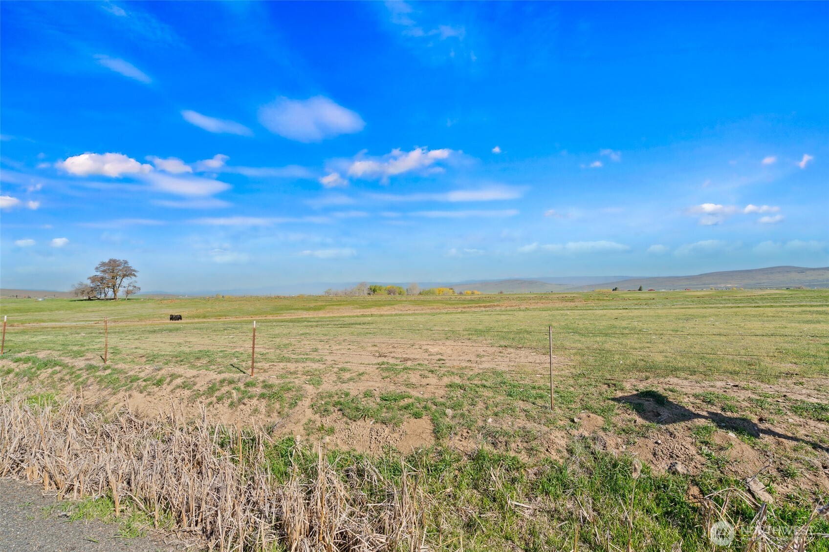 3305 Stevens Road Ellensburg, WA 98926 - Photo 10 of 16 Gallery Image 10