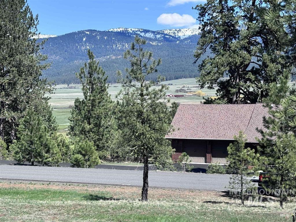 Lot 19 Hot Springs Road New Meadows, ID 83654 - Photo 4 of 28