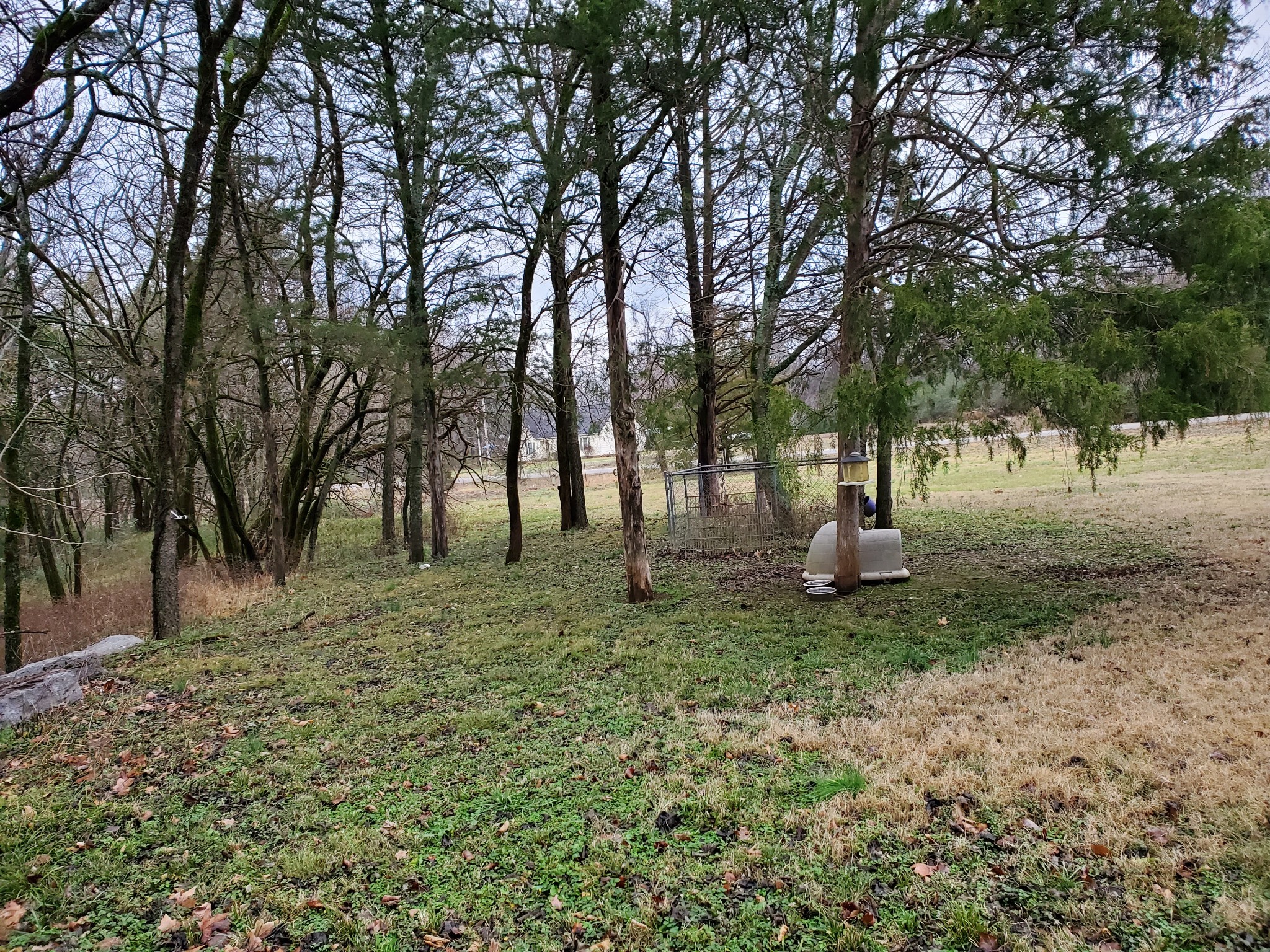 4898 Wayside Road Christiana, TN 37037 - Photo 16 of 18 Gallery Image 16