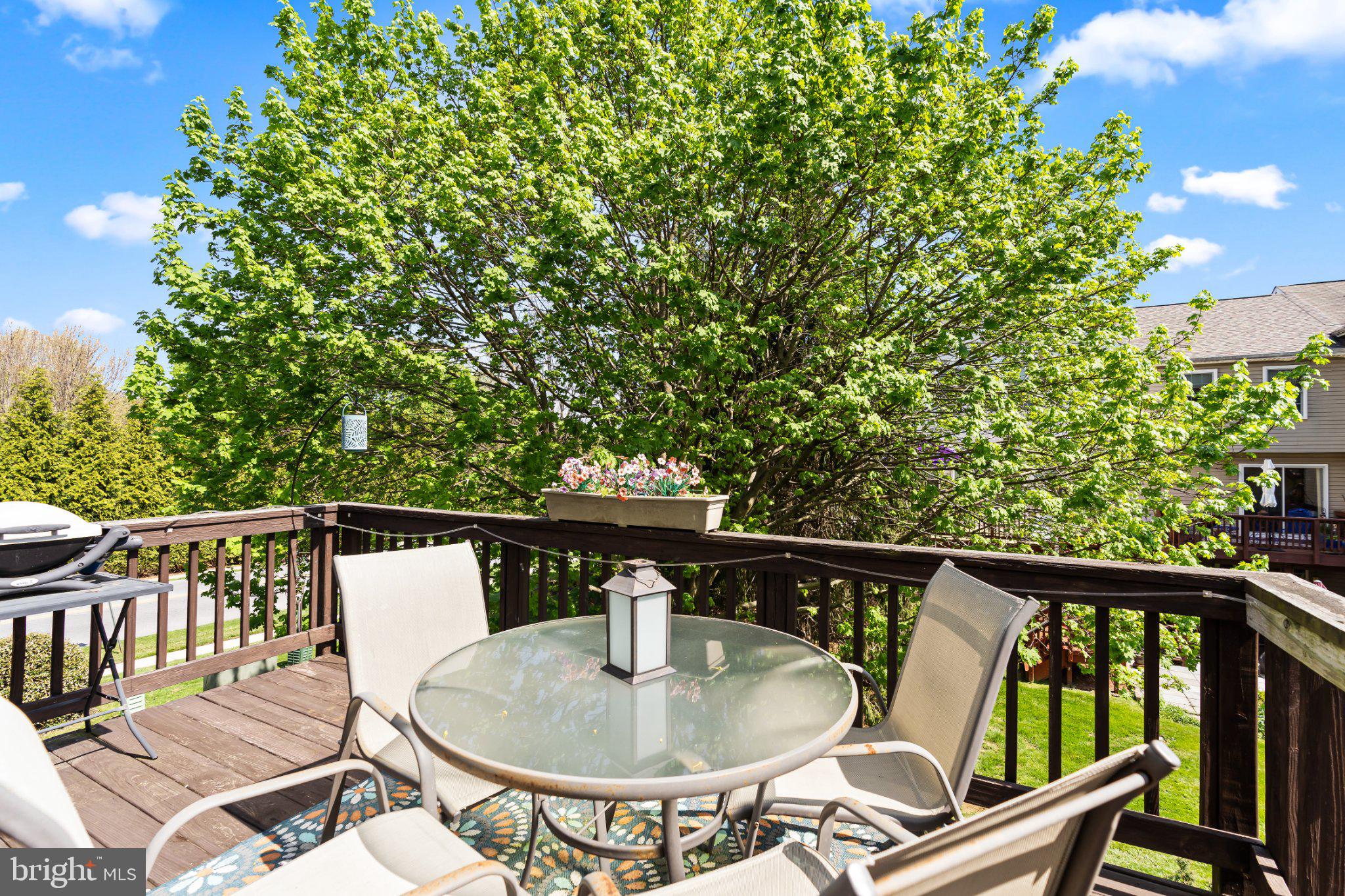128 Sentry Ridge Smithsburg, MD 21783 - Photo 16 of 41 Sunny deck with lush greenery