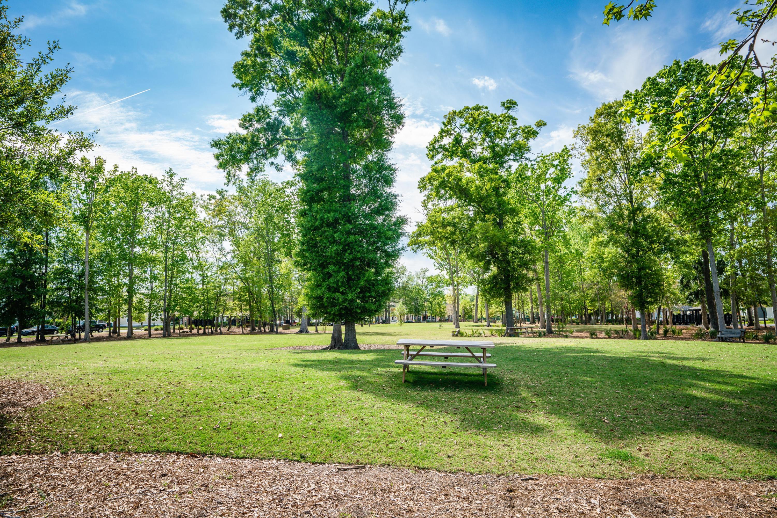 2540 Rutherford Way Charleston, SC 29414 - Photo 33 of 34 EllisCreekPhotography-09748
