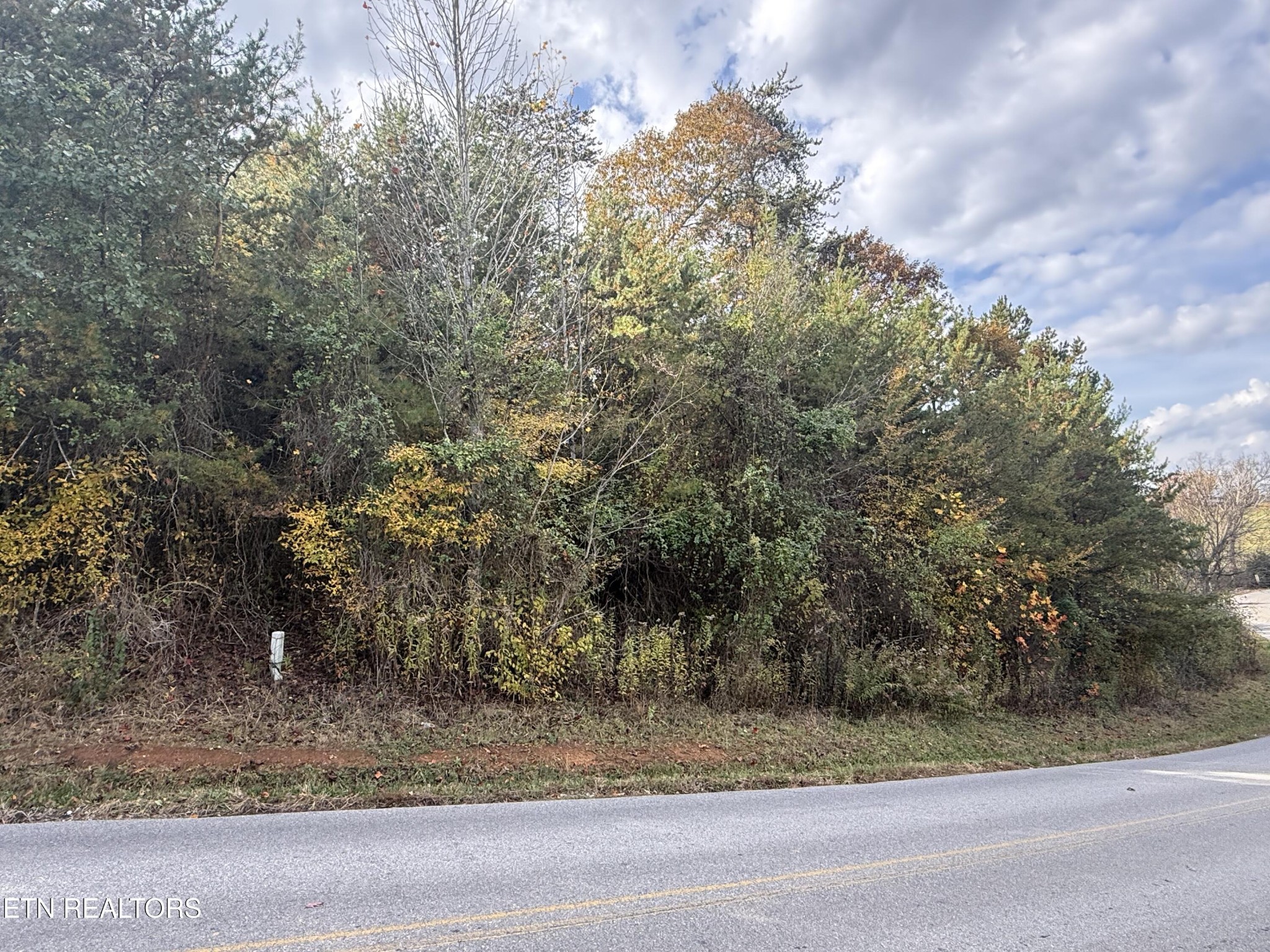 0 Nina Delozier Road Maryville, TN 37804 - Photo 13 of 29 Gallery Image 13