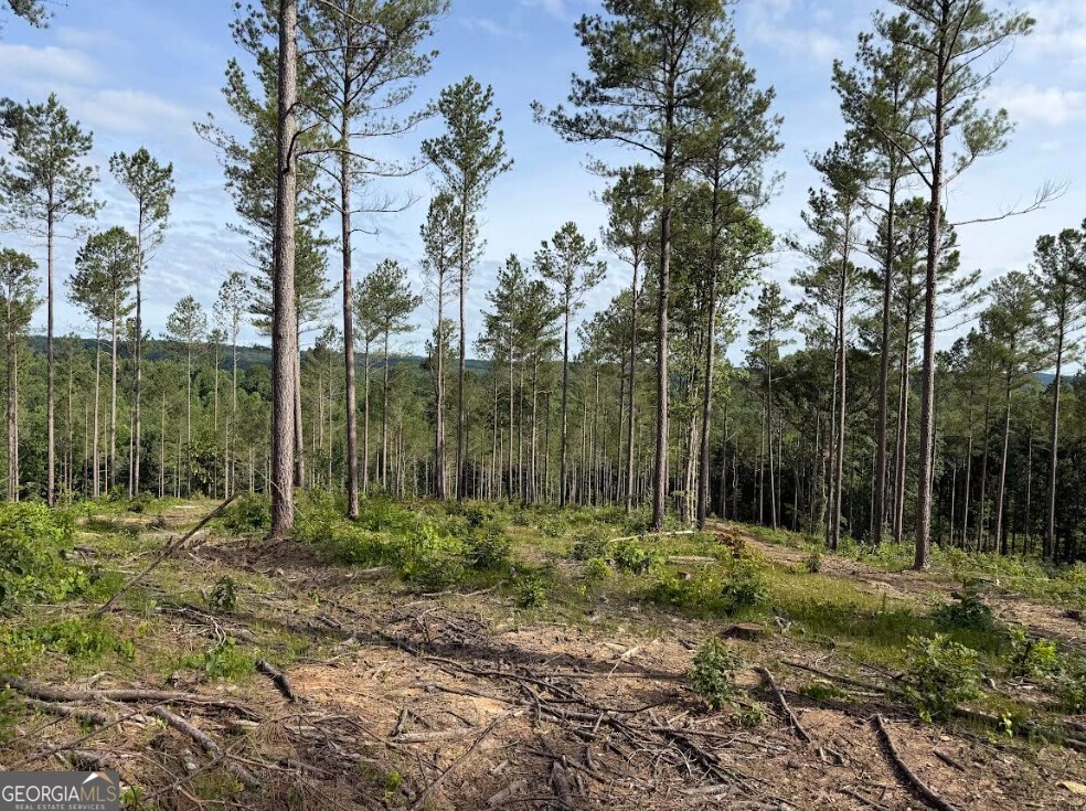 0 Mt Sinai Road, Unit LOT 2 Lula, GA 30554 - Photo 45 of 68
