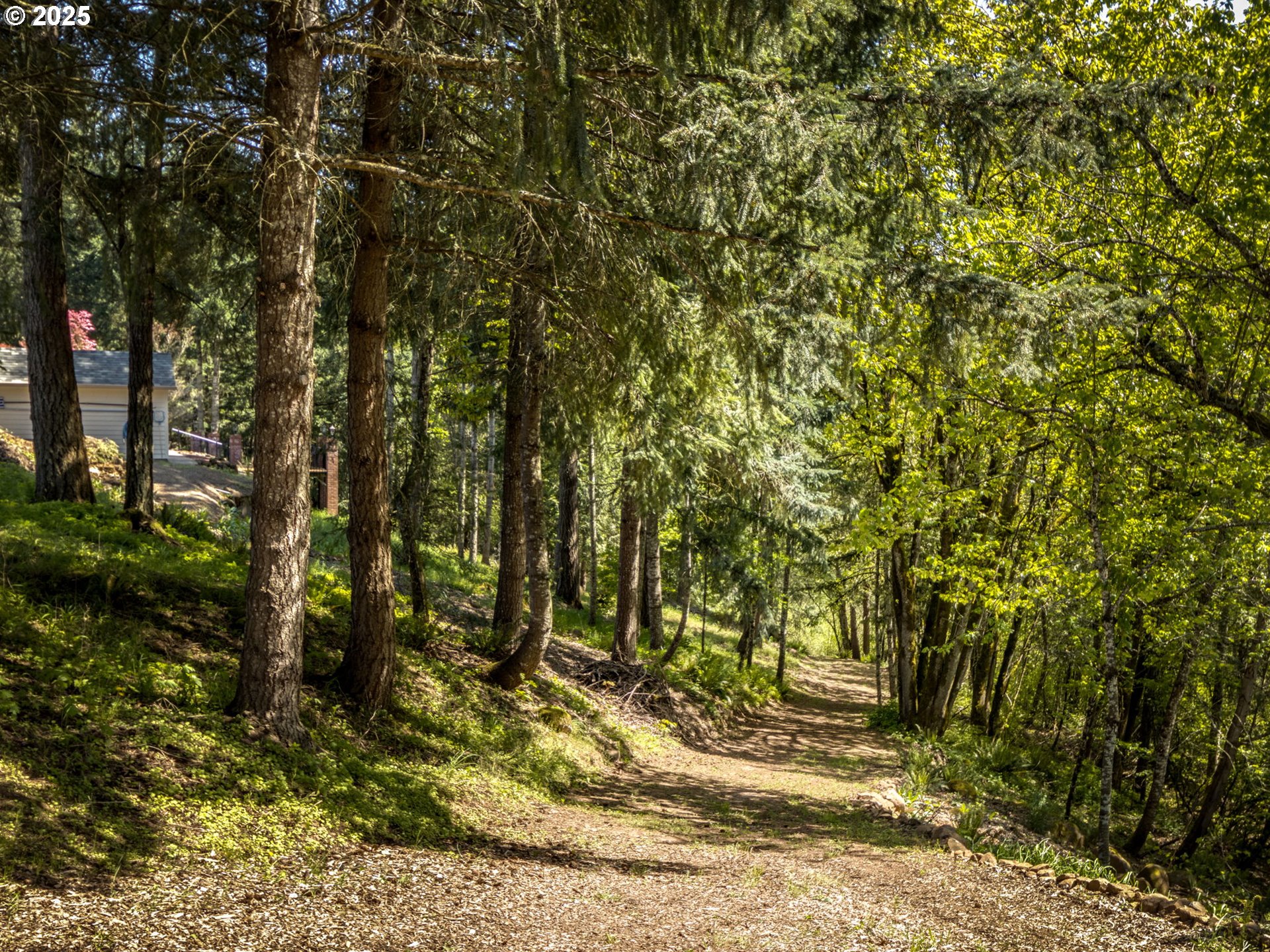 12720 South Carus Road Oregon City, OR 97045 - Photo 34 of 41 a view of outdoor space