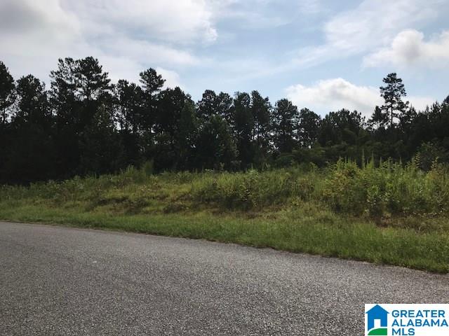 490 Summit Park Road, Unit 24 Odenville, AL 35120 - Photo 3 of 4