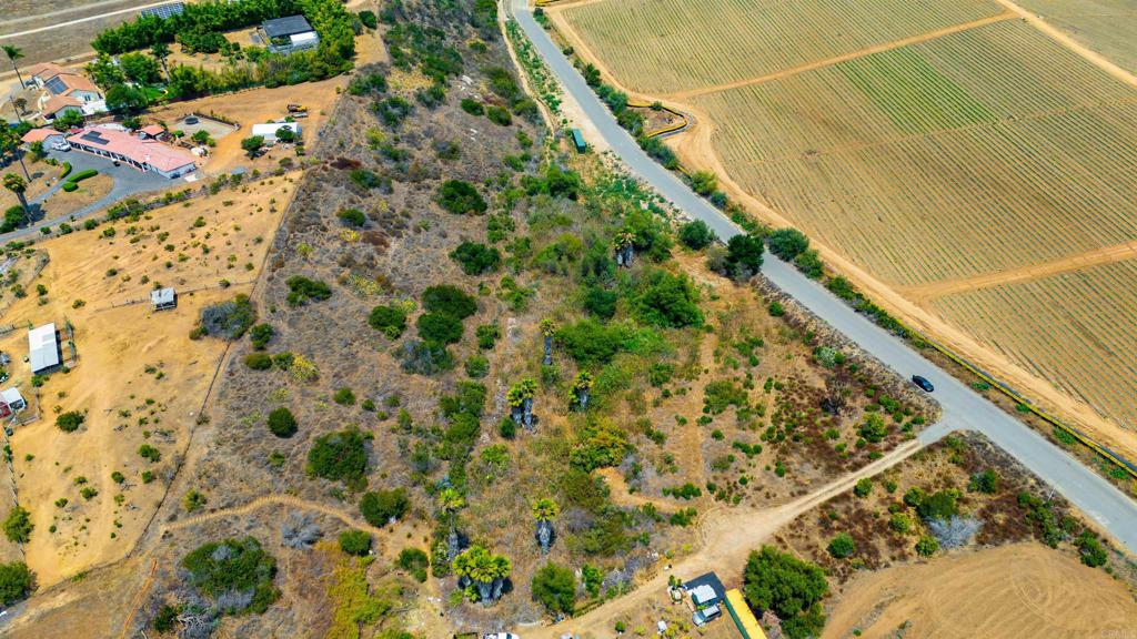 456 Grove View Road Oceanside, CA 92057 - Photo 8 of 12 a view of a yard
