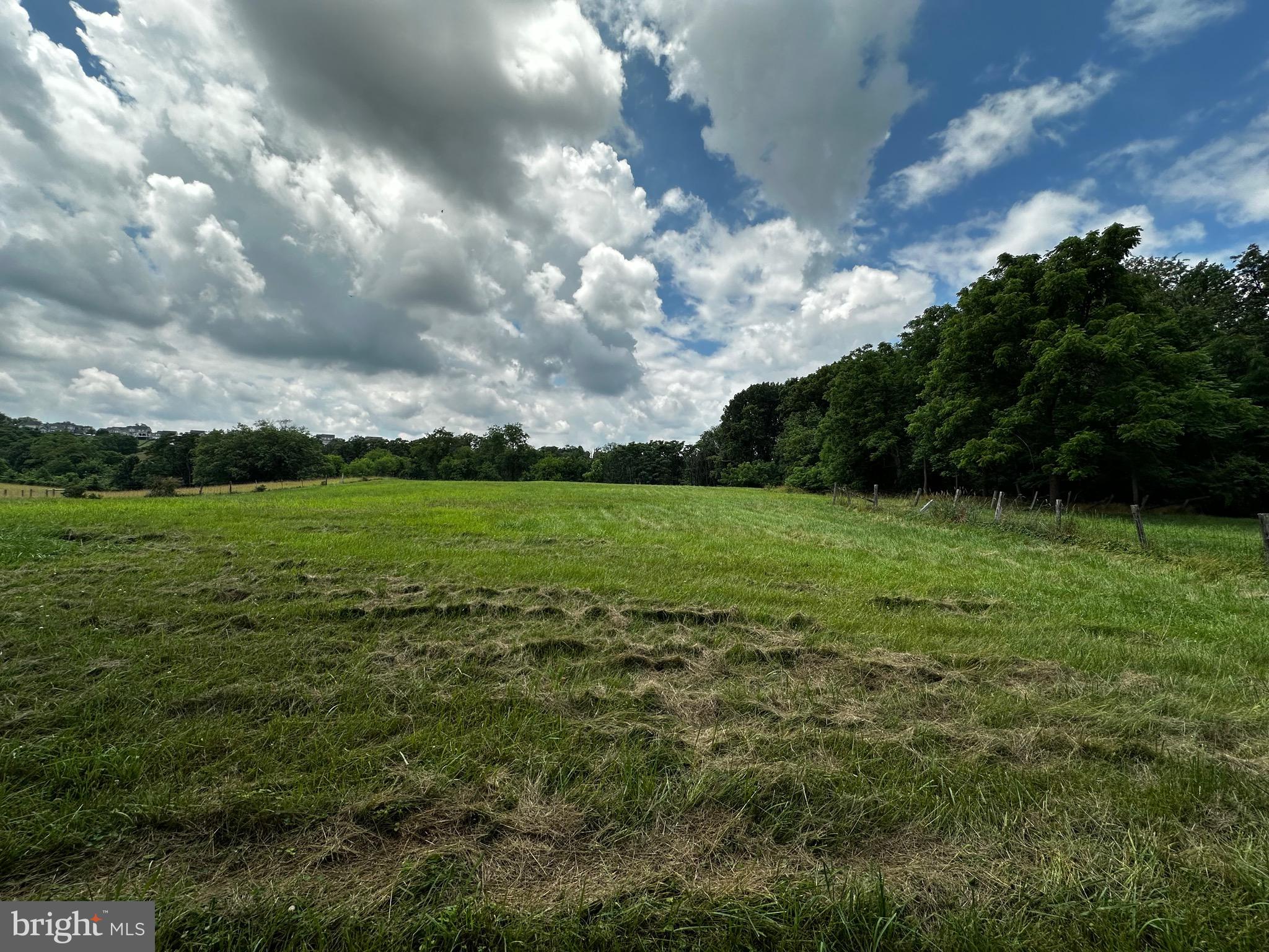 36292 Paxson Road Purcellville, VA 20132 - Photo 49 of 54