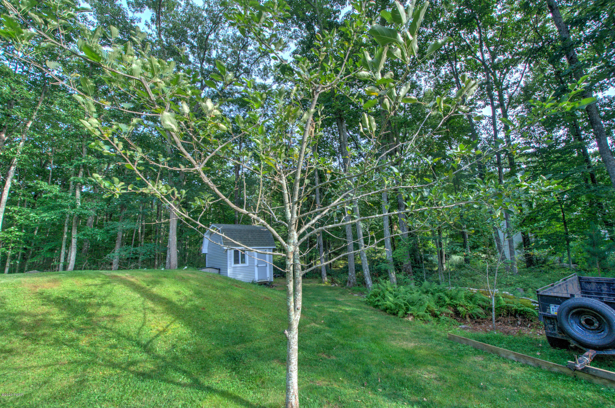 141 Beaverdam Road Tafton, PA 18464 - Photo 49 of 59 48-Exterior apple tree