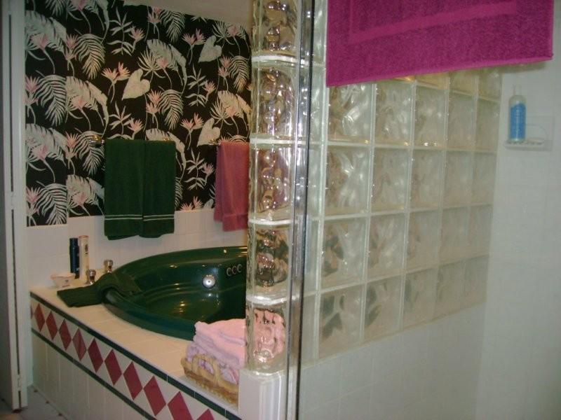 103 Harbor Ridge Drive Goodview, VA 24095 - Photo 12 of 15 a bathroom with a sink and mirror