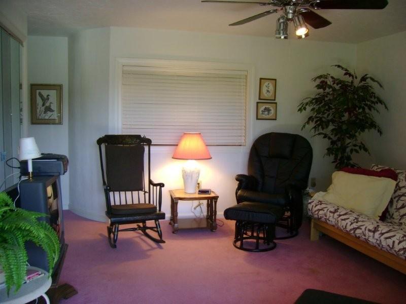 103 Harbor Ridge Drive Goodview, VA 24095 - Photo 9 of 15 a living room with furniture and a potted plant