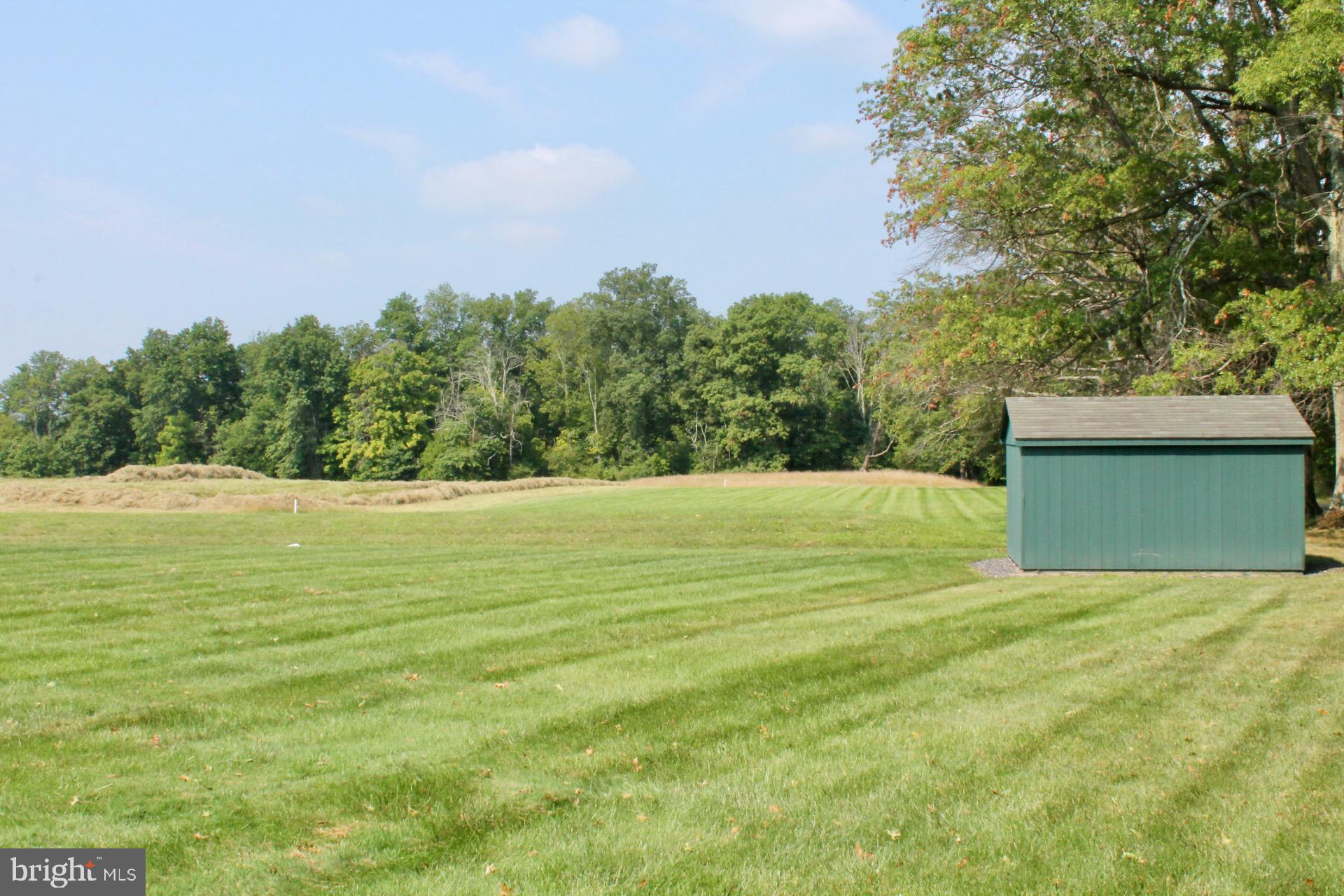 136 Keystone Road Quakertown, PA 18951 - Photo 5 of 18 Rear Yard & Shed