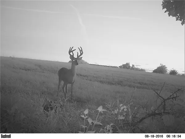 $364,000 | F Highway, Cowgill, MO 64637