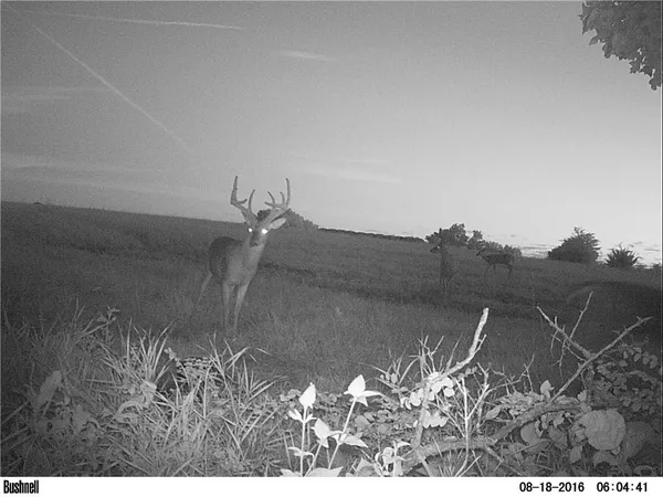 $364,000 | F Highway, Cowgill, MO 64637
