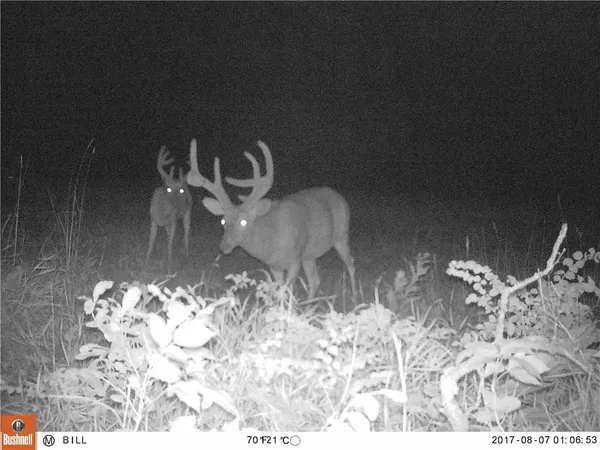 $364,000 | F Highway, Cowgill, MO 64637