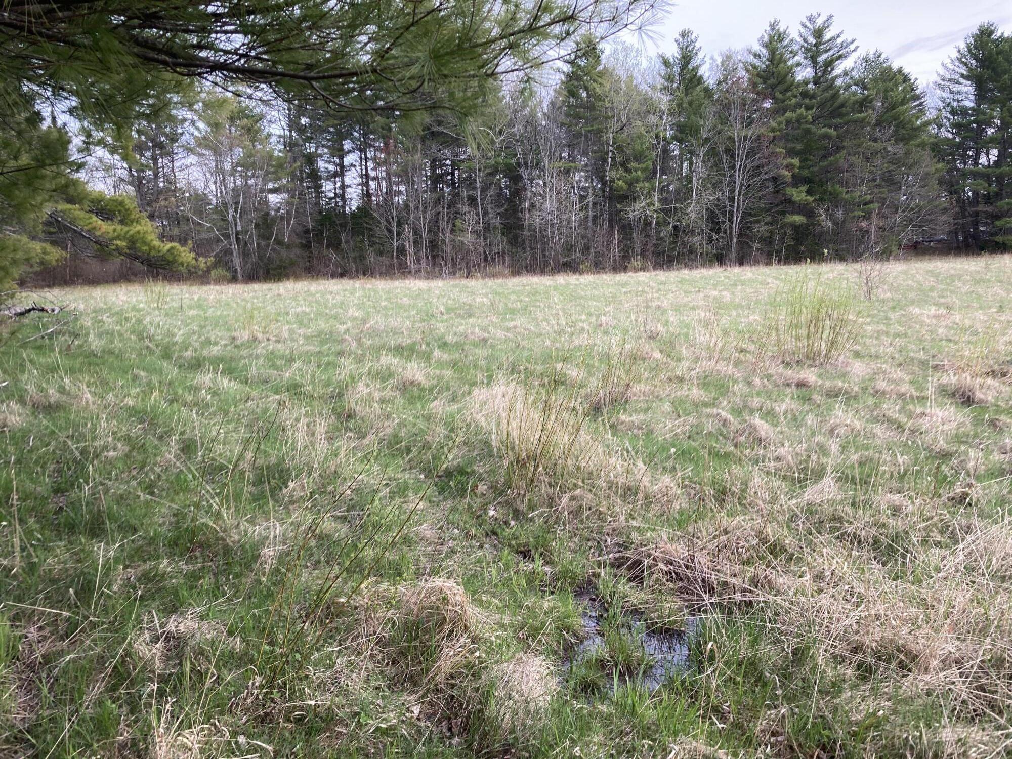Lot # Spring Road Augusta, ME 04330 - Photo 10 of 11 IMG_0074