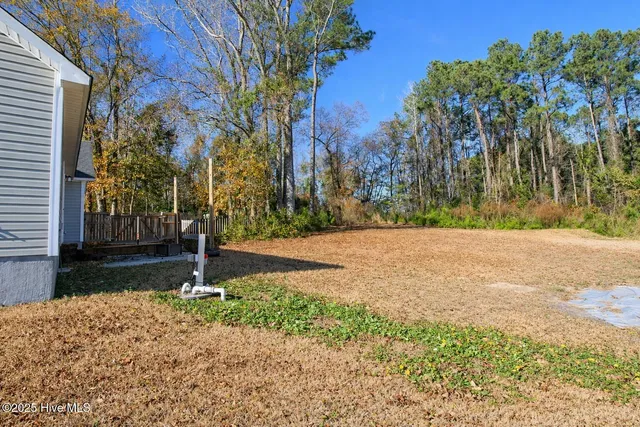 $310,000 | 502 Daisy May Place, Jacksonville, NC 28540