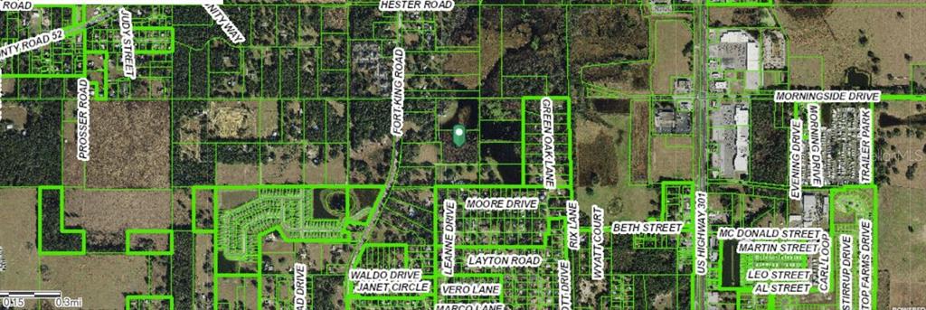 Moore Drive Dade City, FL 33525 - Photo 3 of 3