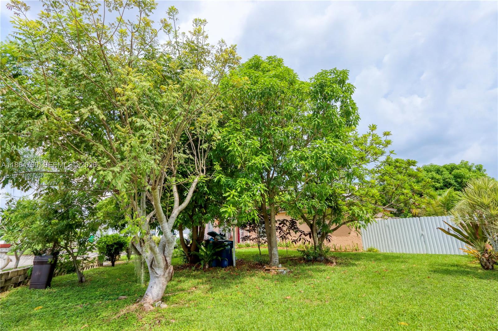 15825 Southwest 305th Terrace Homestead, FL 33033 - Photo 11 of 36 a view of backyard with large trees