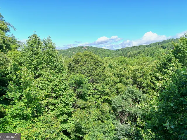 $979,000 | 249 Dalton Drive, Dillard, GA 30537